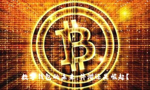 數(shù)字錢包的未來：停滯還是崛起？