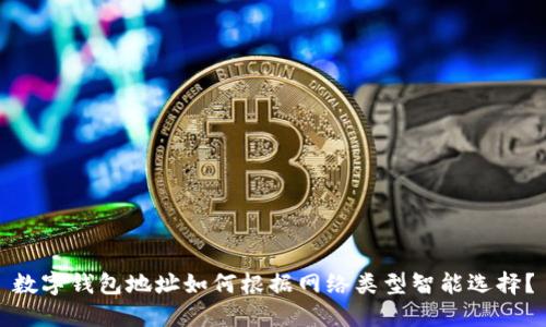 數(shù)字錢包地址如何根據(jù)網(wǎng)絡(luò)類型智能選擇？