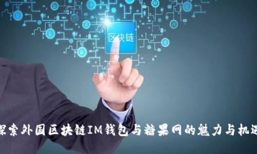 探索外國(guó)區(qū)塊鏈IM錢包與糖果網(wǎng)的魅力與機(jī)遇