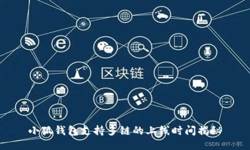 小狐錢(qián)包支持多鏈的上線時(shí)間揭秘