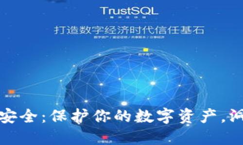 區(qū)塊鏈錢包安全：保護(hù)你的數(shù)字資產(chǎn)，洞悉安全風(fēng)險(xiǎn)