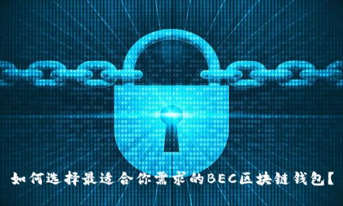 如何選擇最適合你需求的BEC區(qū)塊鏈錢包？