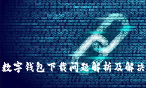 伊朗數字錢包下載問題解析及解決方案