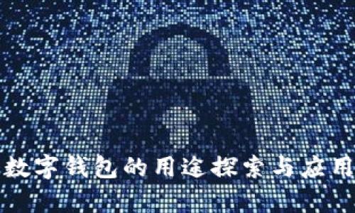 對公數(shù)字錢包的用途探索與應(yīng)用分析