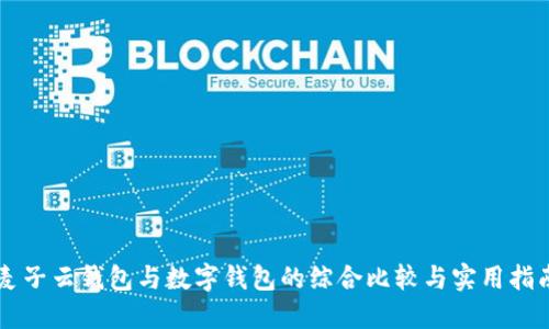 麥子云錢(qián)包與數(shù)字錢(qián)包的綜合比較與實(shí)用指南