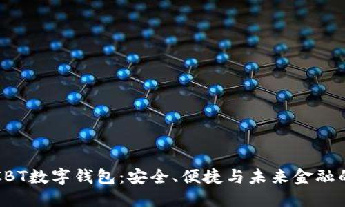 揭秘CBT數(shù)字錢包：安全、便捷與未來金融的橋梁