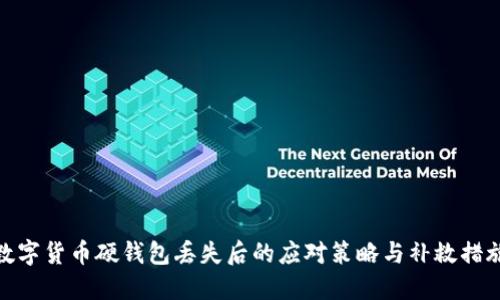 數(shù)字貨幣硬錢包丟失后的應(yīng)對策略與補救措施