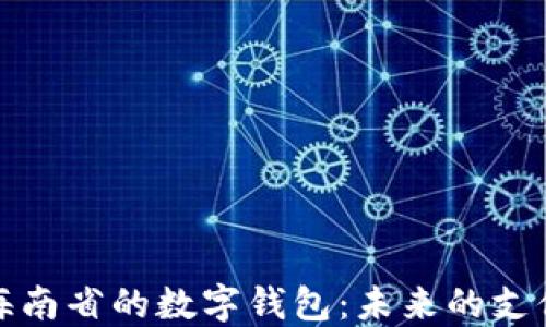 
探索海南省的數(shù)字錢包：未來(lái)的支付方式