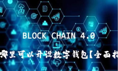 在哪里可以開設(shè)數(shù)字錢包？全面指南