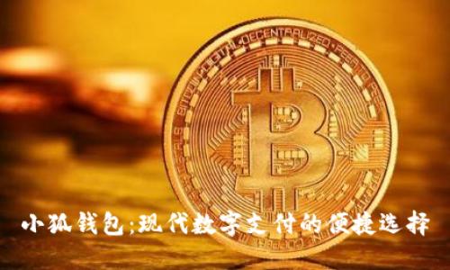 小狐錢包：現(xiàn)代數(shù)字支付的便捷選擇
