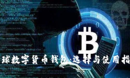 全球數(shù)字貨幣錢包：選擇與使用指南