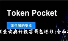 如何查詢央行數(shù)字錢包進(jìn)