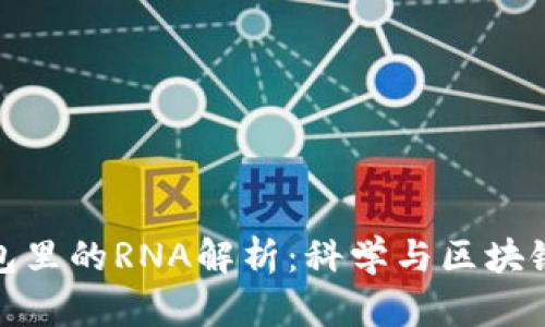 小狐錢包里的RNA解析：科學與區(qū)塊鏈的融合