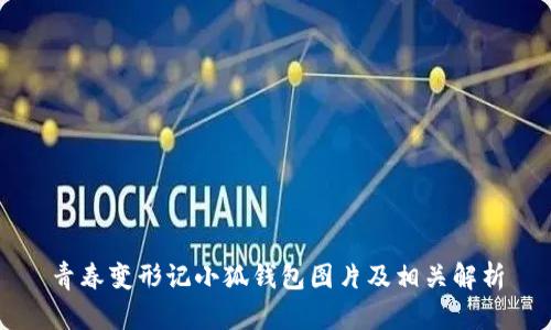 青春變形記小狐錢包圖片及相關(guān)解析