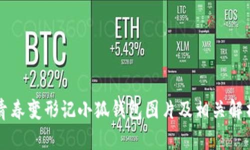 青春變形記小狐錢包圖片及相關(guān)解析