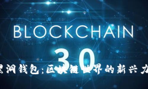  黑洞錢(qián)包：區(qū)塊鏈?zhǔn)澜绲男屡d力量