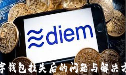 
數(shù)字錢(qián)包掛失后的問(wèn)題與解決方案