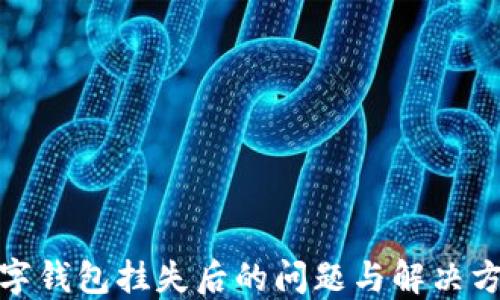 
數(shù)字錢(qián)包掛失后的問(wèn)題與解決方案